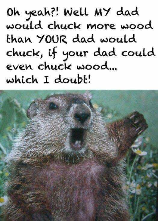 woodchuck father's day card - Oh yeah?! Well My dad would chuck more wood than Your dad would chuck, if your dad could even chuck wood... which I doubt!