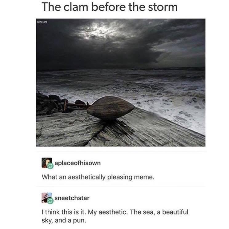 clam before the storm - The clam before the storm L aplaceofhisown What an aesthetically pleasing meme. sneetchstar I think this is it. My aesthetic. The sea, a beautiful sky, and a pun.