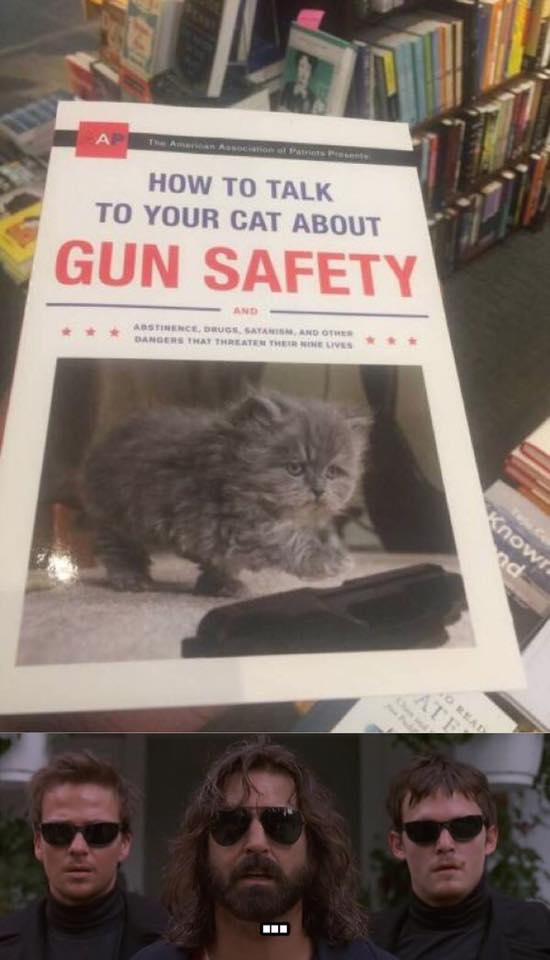 cat gun safety meme - The American Association of its How To Talk To Your Cat About Gun Safety Abstinence. Druge Satanism And Other Dangers That Threaten There Lives