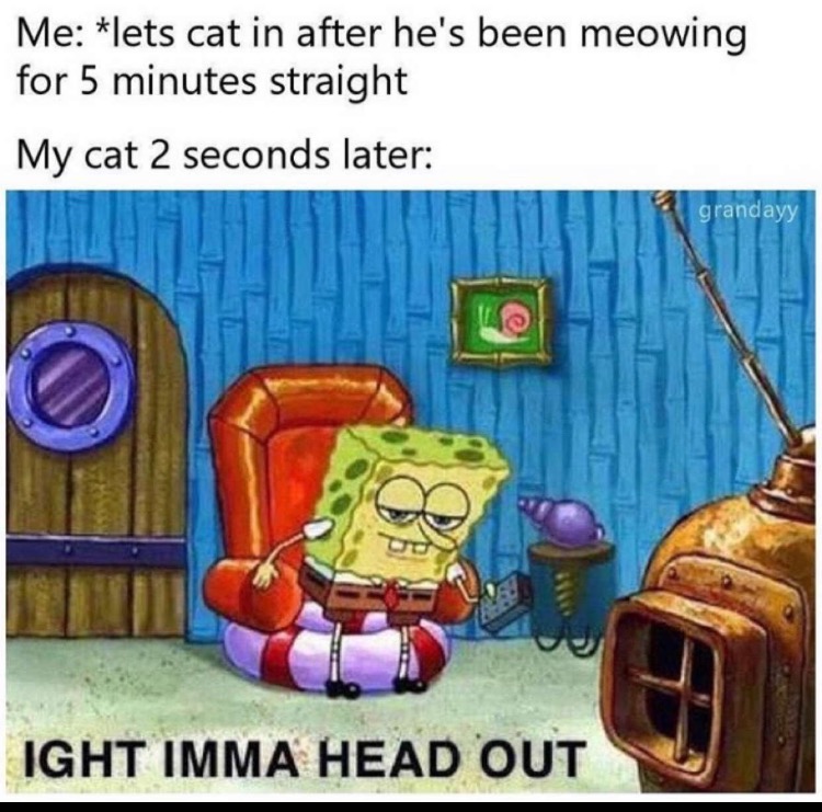Internet meme - Me lets cat in after he's been meowing for 5 minutes straight My cat 2 seconds later grandayy Ight Imma Head Out
