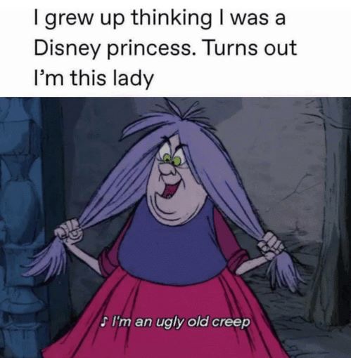 madam mim meme - I grew up thinking I was a Disney princess. Turns out I'm this lady s I'm an ugly old creep