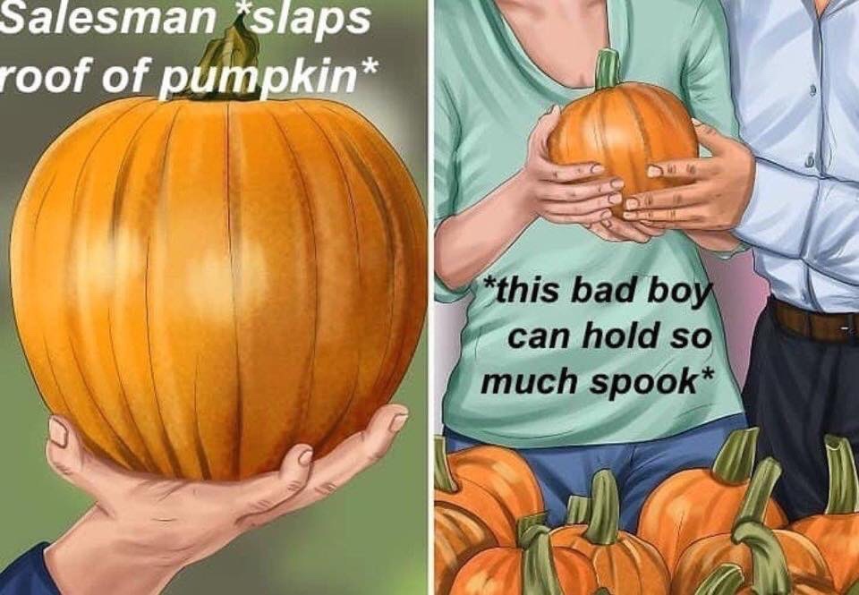bad boy can hold so much spook - Salesman slaps roof of pumpkin this bad boy can hold so much spook