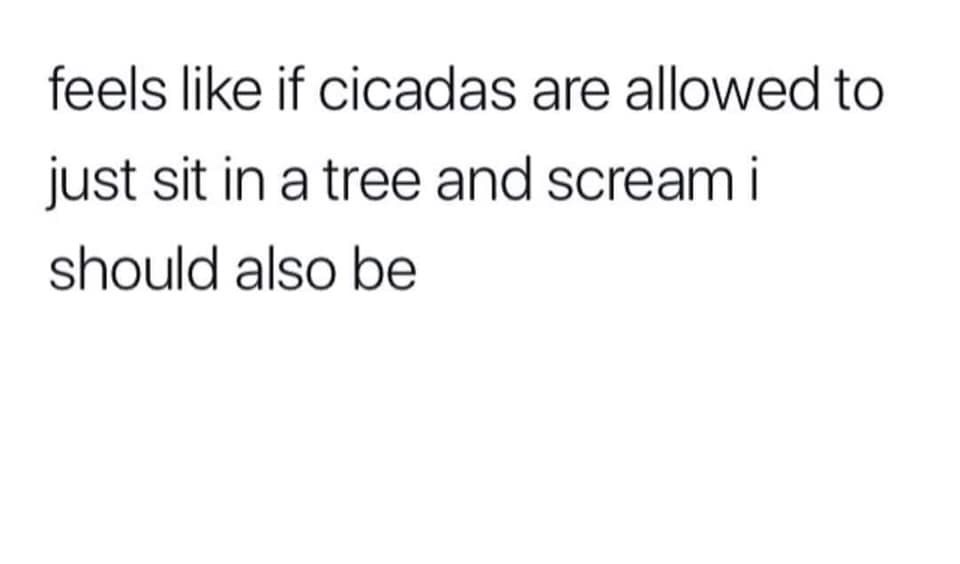 it's okay to be different - feels if cicadas are allowed to just sit in a tree and scream i should also be