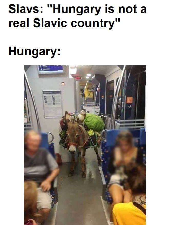 slavic meme - Train - Slavs "Hungary is not a real Slavic country" Hungary