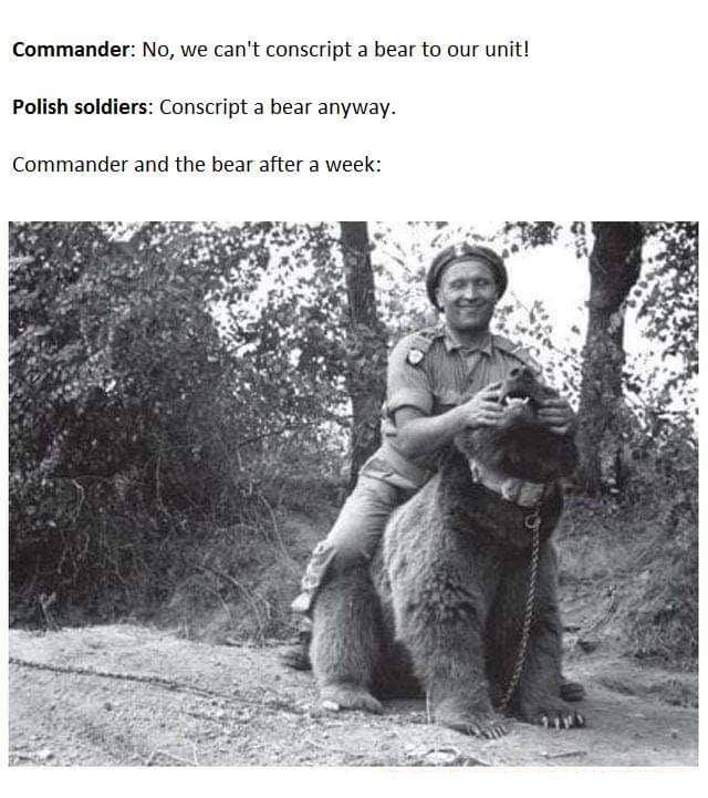 slavic meme - Commander No, we can't conscript a bear to our unit! Polish soldiers Conscript a bear anyway. Commander and the bear after a week