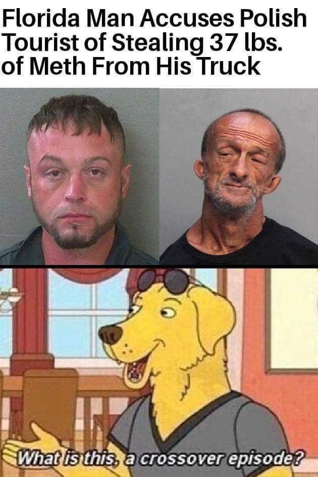 slavic meme - florida man polish man meme - Florida Man Accuses Polish Tourist of Stealing 37 lbs. of Meth From His Truck What is this, a crossover episode?