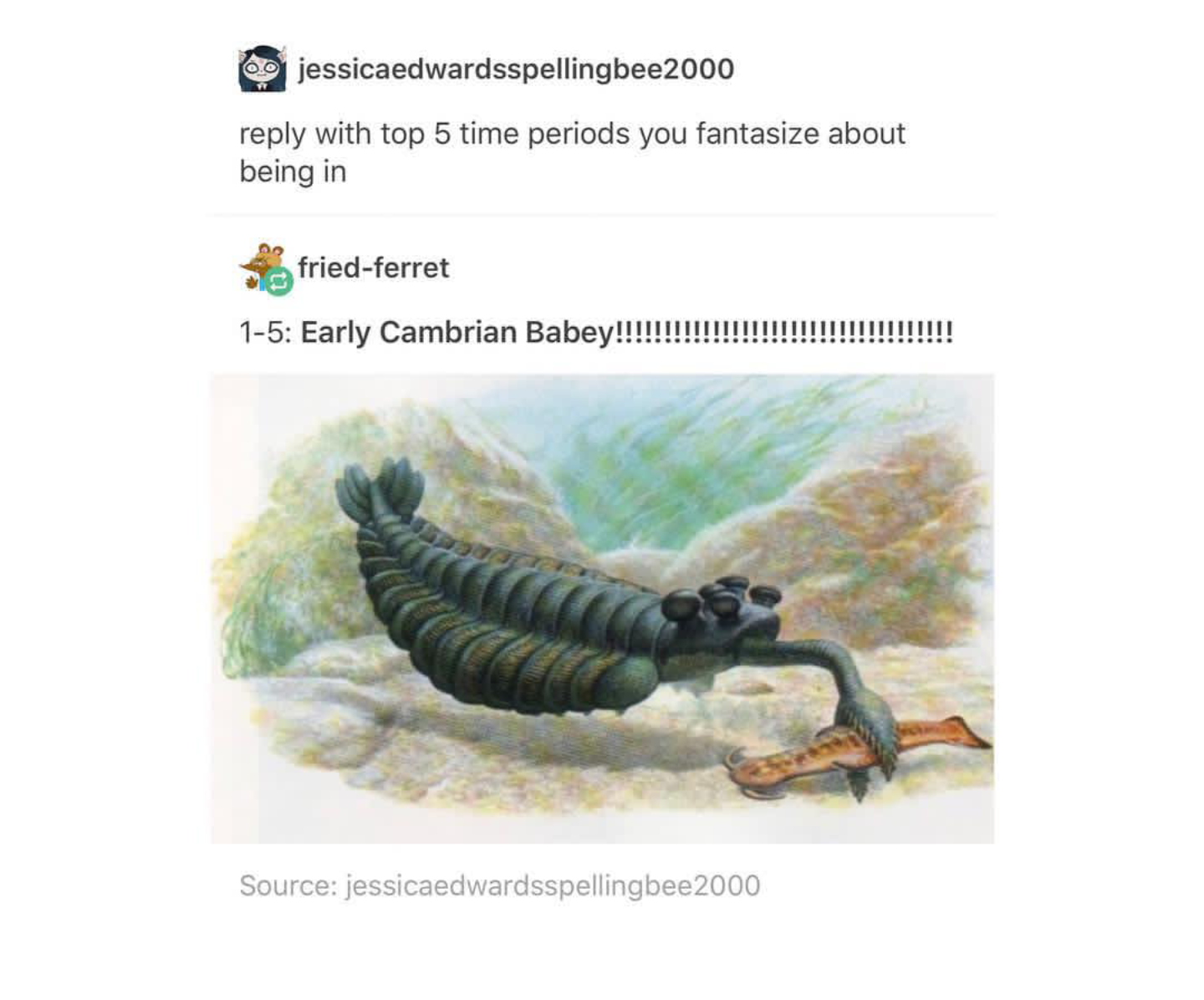 strange prehistoric animals - jessicaedwardsspellingbee2000 with top 5 time periods you fantasize about being in friedferret 15 Early Cambrian Babey!!!!!!!!!!!!! Source jessicaedwardsspellingbee2000