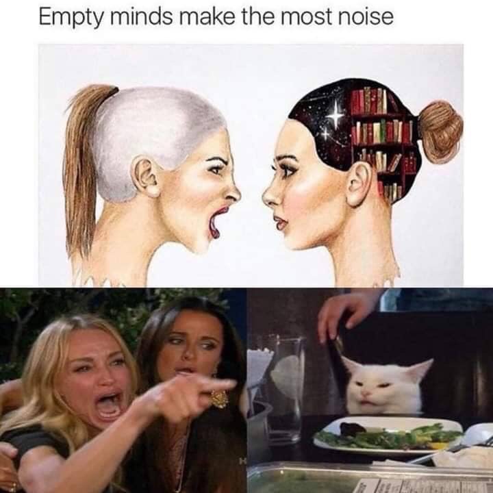 empty minds make the most noise meme - Empty minds make the most noise