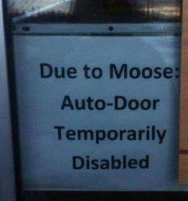 vehicle bill of sale - Due to Moose AutoDoor Temporarily Disabled