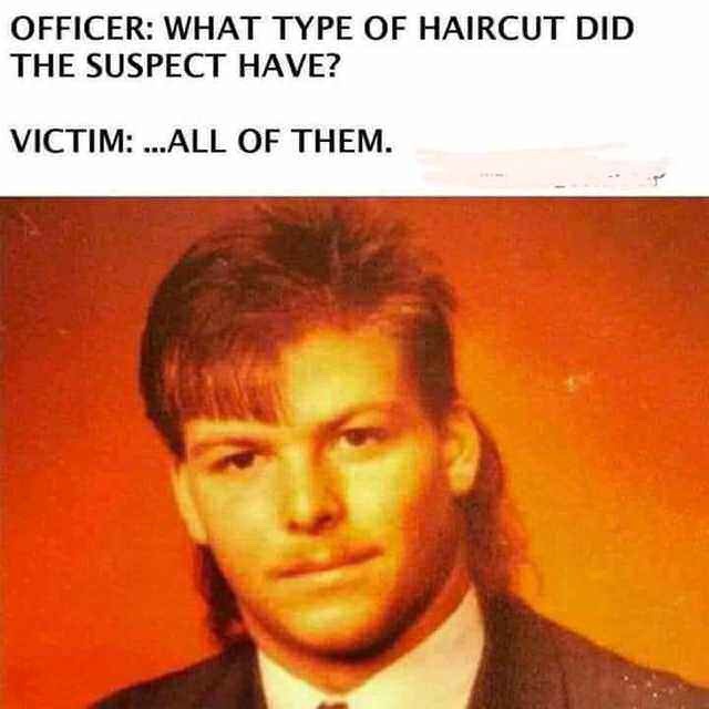 haircut did the suspect have - Officer What Type Of Haircut Did The Suspect Have? Victim ...All Of Them.