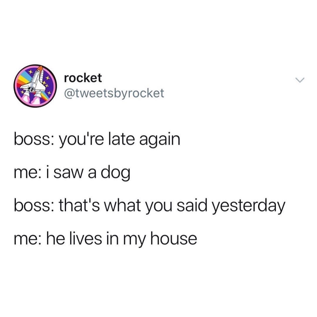 rocket boss you're late again me i saw a dog boss that's what you said yesterday me he lives in my house