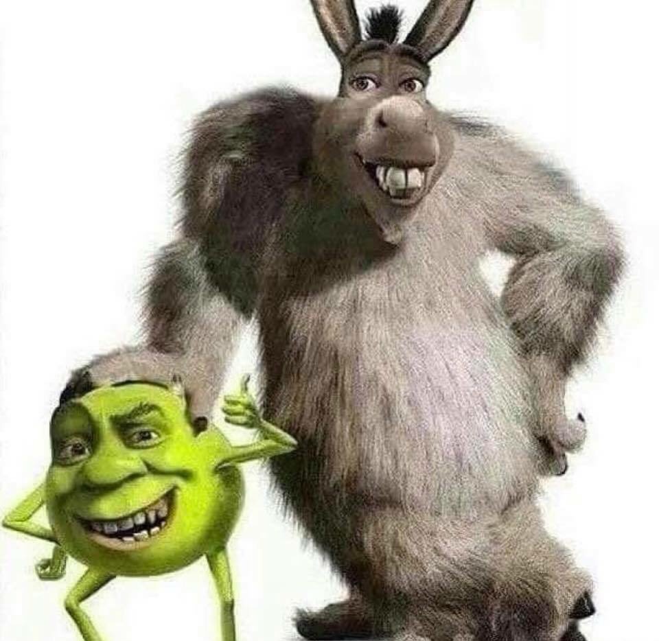 shrek and donkey mike and sully