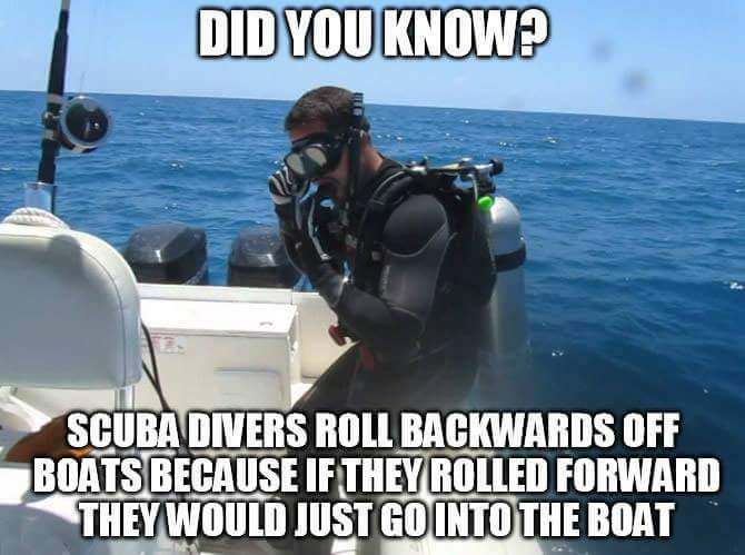 scuba divers roll backwards meme - Did You Know? Scuba Divers Roll Backwards Off Boats Because If They Rolled Forward They Would Just Go Into The Boat