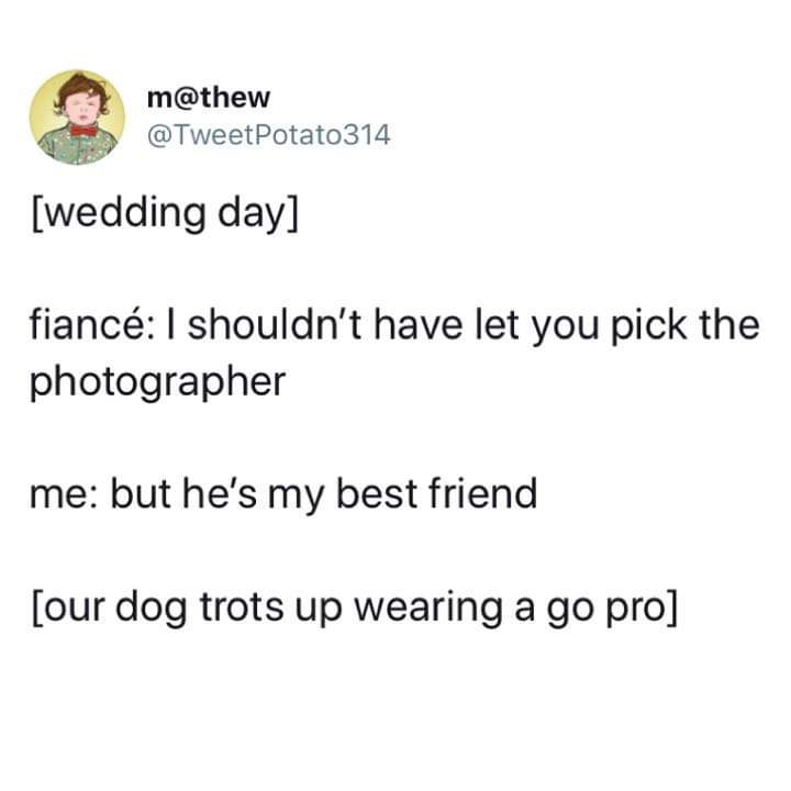 m Potato 314 wedding day fianc I shouldn't have let you pick the photographer me but he's my best friend our dog trots up wearing a go pro