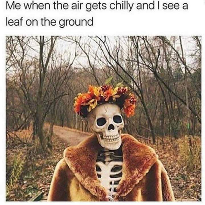 fall skeleton - Me when the air gets chilly and I see a leaf on the ground