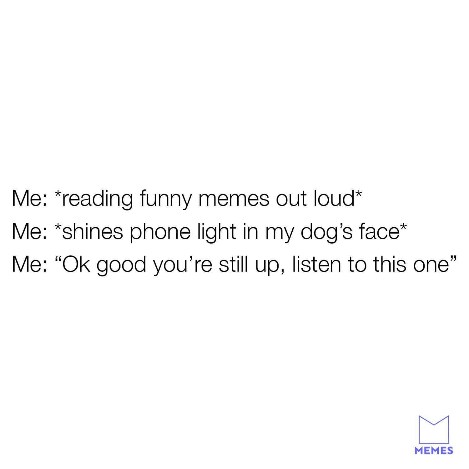 started realizing how beautiful i am - Me reading funny memes out loud Me shines phone light in my dog's face Me "Ok good you're still up, listen to this one" Memes