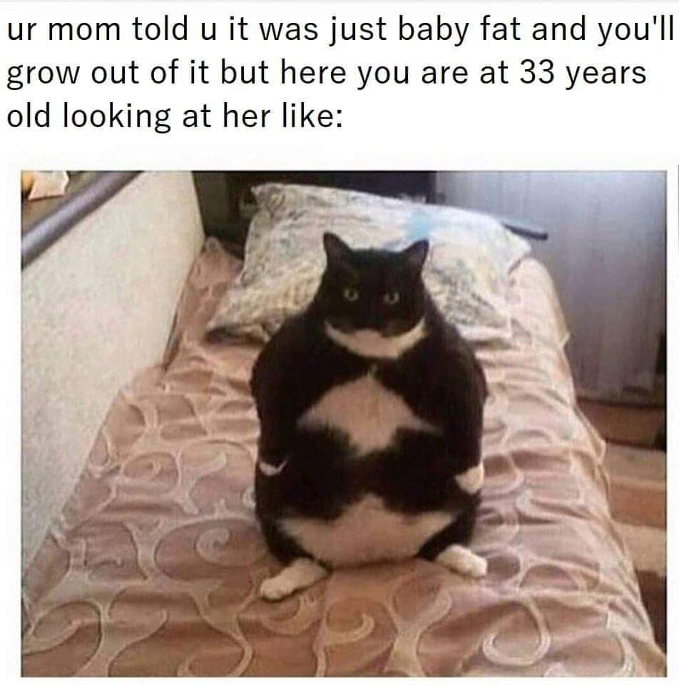 baby fat meme - ur mom told u it was just baby fat and you'll grow out of it but here you are at 33 years old looking at her