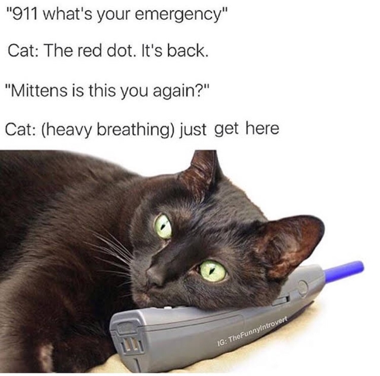 cat talking on phone - "911 what's your emergency" Cat The red dot. It's back. "Mittens is this you again?" Cat heavy breathing just get here Ig TheFunnyIntrovert