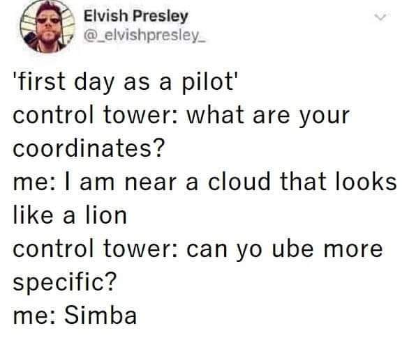 document - Elvish Presley 'first day as a pilot' control tower what are your coordinates? me I am near a cloud that looks a lion control tower can yo ube more specific? me Simba