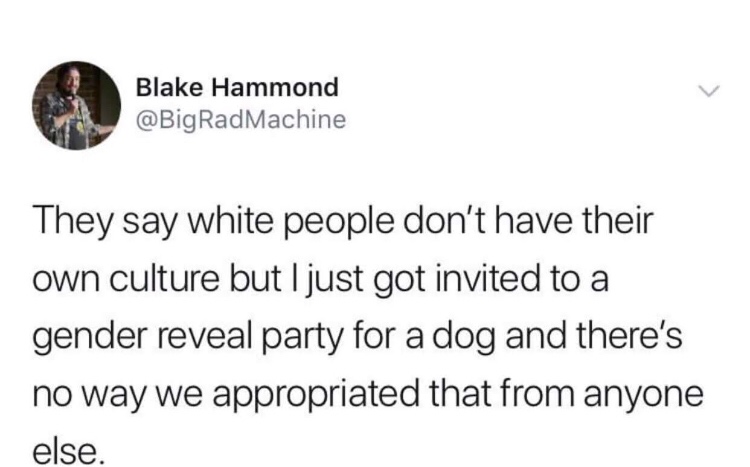 girlfriend hair everywhere meme - Blake Hammond RadMachine They say white people don't have their own culture but I just got invited to a gender reveal party for a dog and there's no way we appropriated that from anyone else.