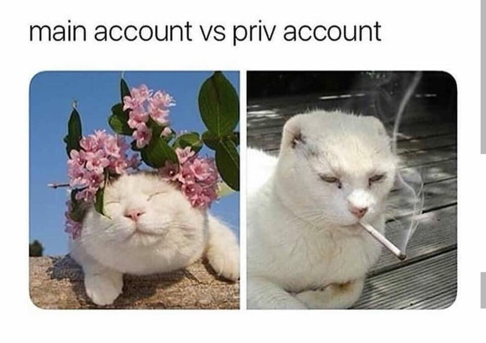 haven t heard that name in years cat - main account vs priv account