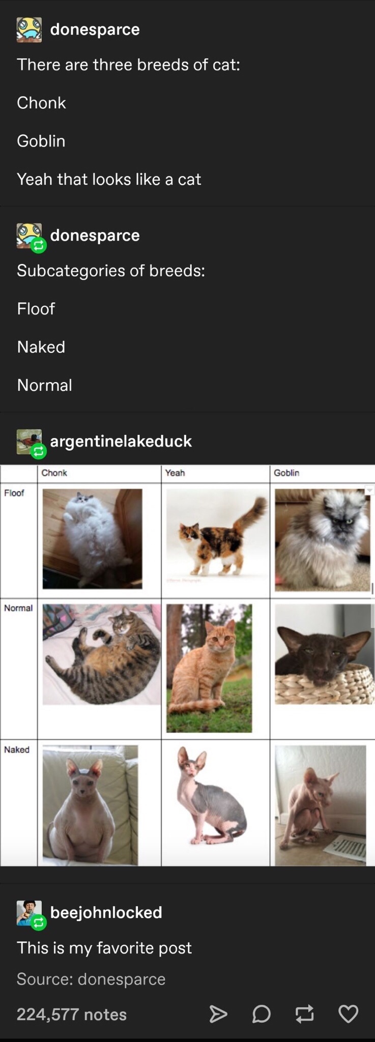 chonk yeah goblin - donesparce There are three breeds of cat Chonk Goblin Yeah that looks a cat donesparce Subcategories of breeds Floof Naked Normal argentinelakeduck Chonk Yeah Goblin Floof Normal Naked F. beejohnlocked This is my favorite post Source d