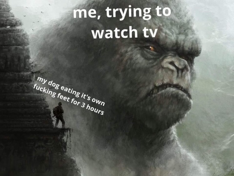friday 13 - king kong meme - me, trying to watch tv my dog eating it's own fucking feet for 3 hours