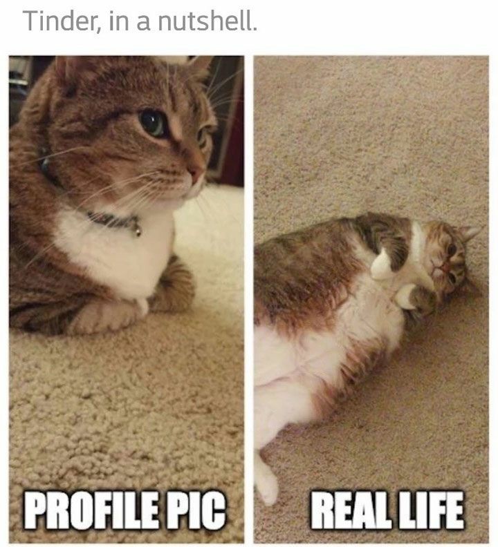 profile picture vs real life - Tinder, in a nutshell. Profile Pic Real Life