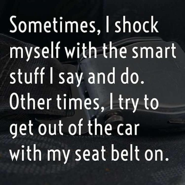 sometimes i shock myself with the things - Sometimes, I shock myself with the smart stuff I say and do. |_ Other times, I try to get out of the car with my seat belt on.