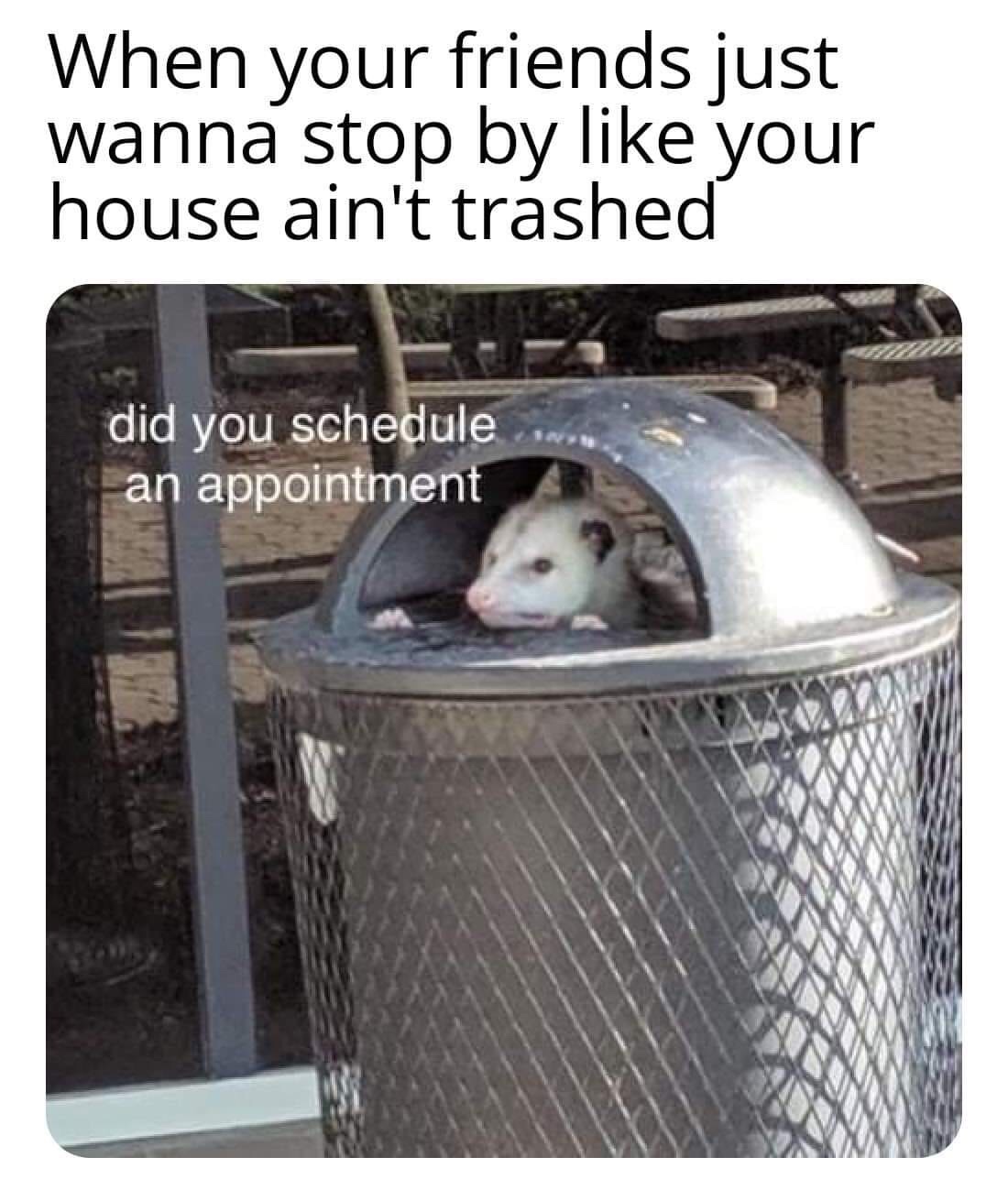 cursed possum - When your friends just wanna stop by your house ain't trashed did you schedule an appointment