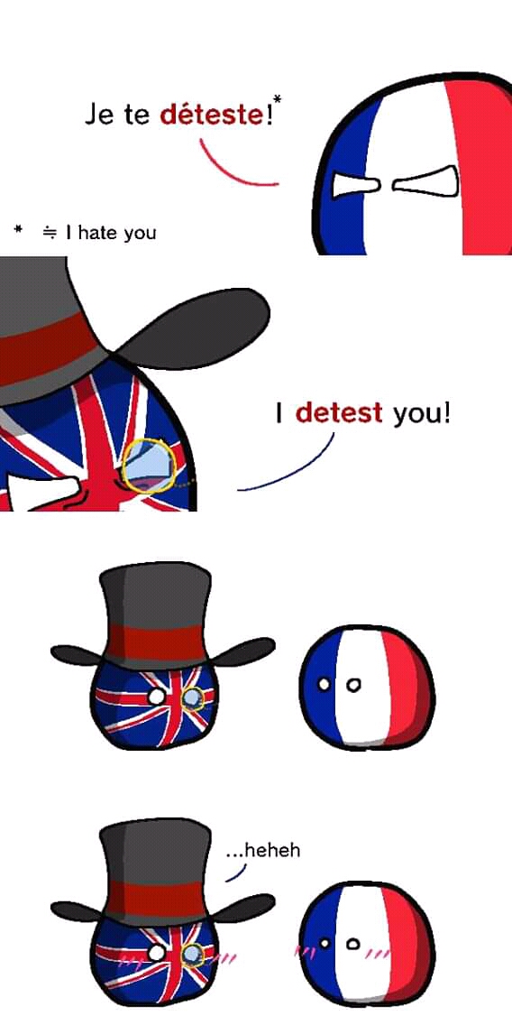 British meme - fashion accessory - Je te dteste! I hate you I detest you! N detest you to ...heheh to