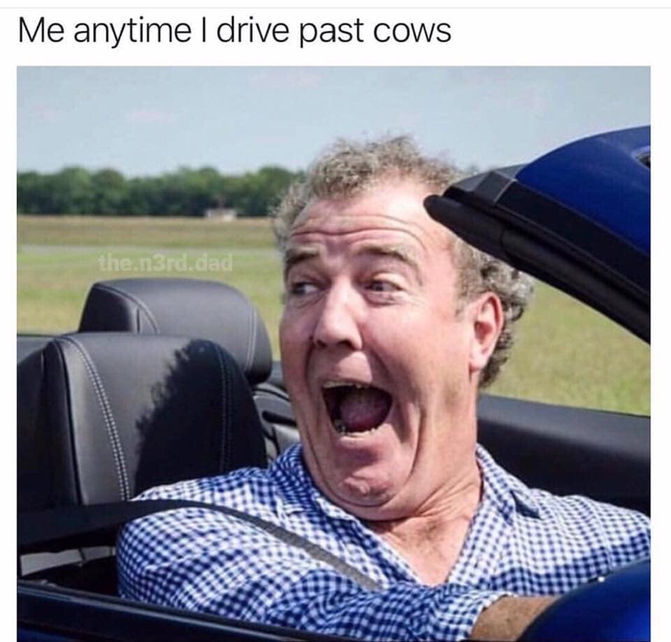 British meme - jeremy clarkson face - Me anytime I drive past cows the.n3rd dad