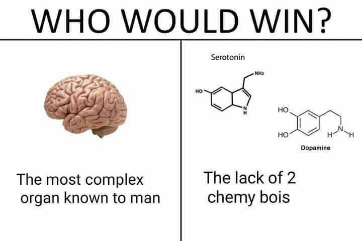 would win chemy bois - Who Would Win? Serotonin Hos Dopamine The most complex organ known to man The lack of 2 chemy bois