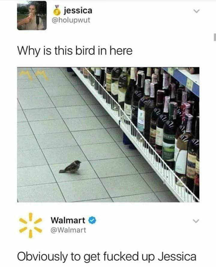 bird in here meme - jessica Why is this bird in here Walmart Obviously to get fucked up Jessica