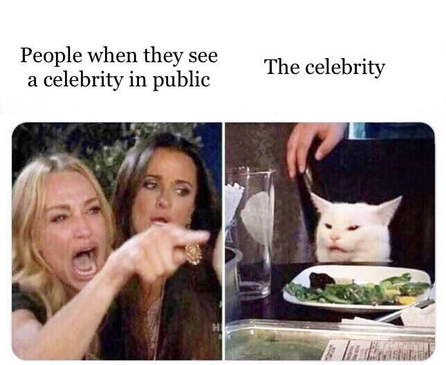 two women yelling at a cat - People when they see a celebrity in public The celebrity