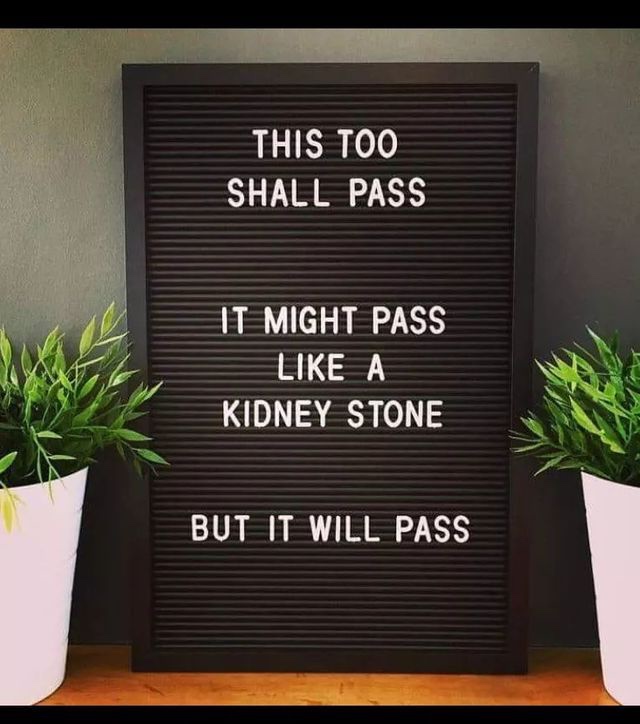 too shall pass kidney stone - This Too Shall Pass It Might Pass A Kidney Stone But It Will Pass