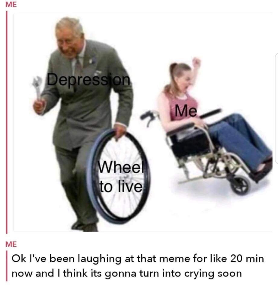 wheel to live meme - Me Depression Me Wheel to live Me Ok I've been laughing at that meme for 20 min now and I think its gonna turn into crying soon