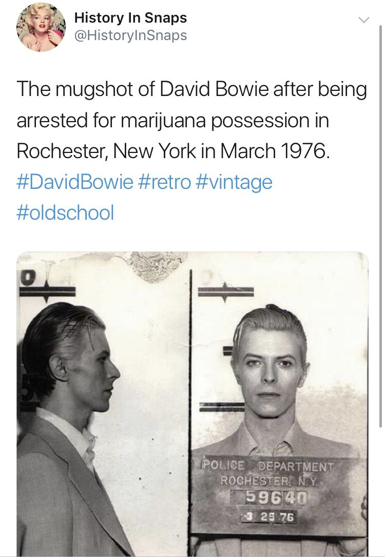 history photo - cool pictures of history - History In Snaps The mugshot of David Bowie after being arrested for marijuana possession in Rochester, New York in . Bowie Ipolice Department Rochester, N.Y. 59640 3 25 76