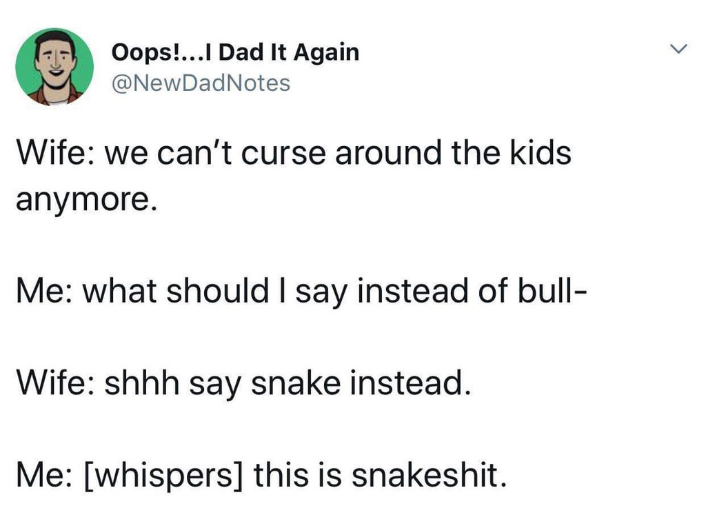duniya madarchod hai memes - Oops!...I Dad It Again DadNotes Wife we can't curse around the kids anymore. Me what should I say instead of bull Wife shhh say snake instead. Me whispers this is snakeshit.