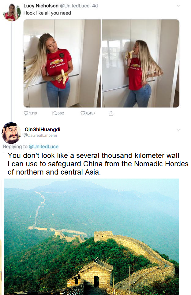 united luce meme - Lucy Nicholson 4d look all you need 101562 07 Qin Shi Huangdi 620 unitedluce You don't look a several thousand kilometer wall I can use to safeguard China from the Nomadic Hordes of northern and central Asia.