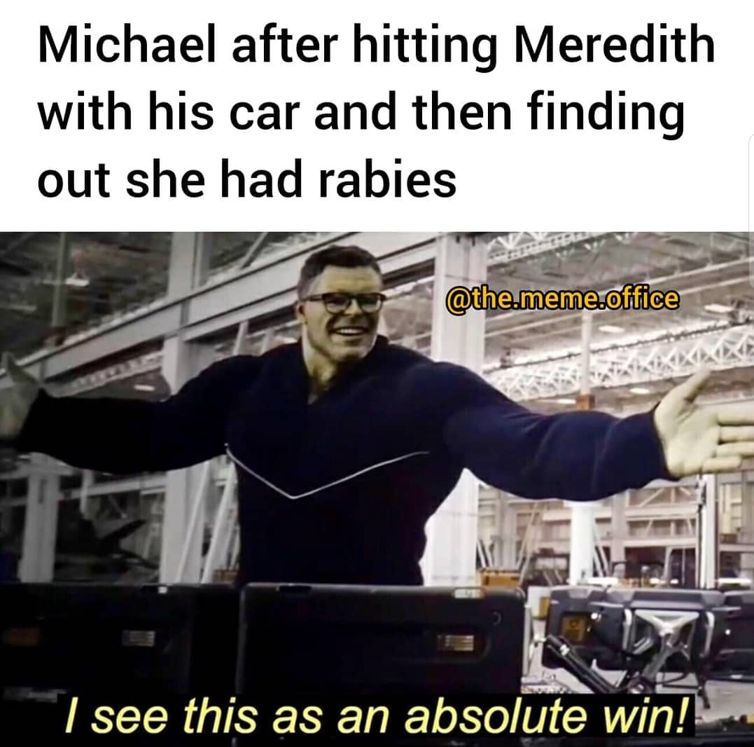 dank endgame memes - Michael after hitting Meredith with his car and then finding out she had rabies .meme.office I see this as an absolute win!