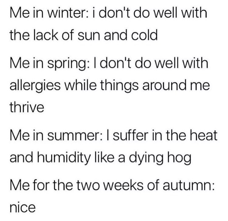 5 4 3 2 1 - Me in winter i don't do well with the lack of sun and cold Me in spring I don't do well with allergies while things around me thrive Me in summer I suffer in the heat and humidity a dying hog Me for the two weeks of autumn nice