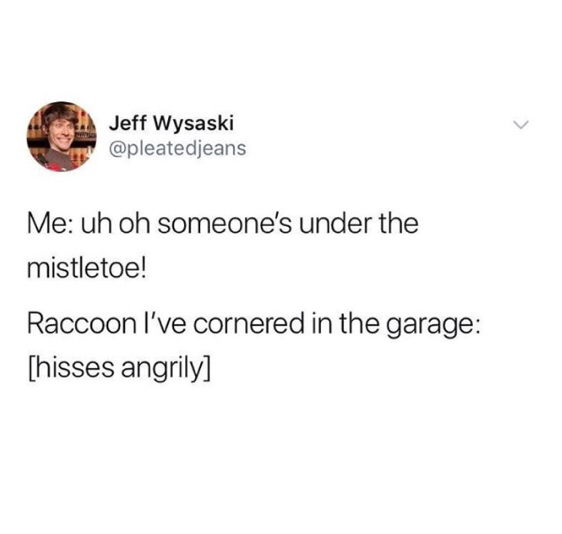 replace every vowel in your name with oob - Jeff Wysaski Me uh oh someone's under the mistletoe! Raccoon I've cornered in the garage hisses angrily