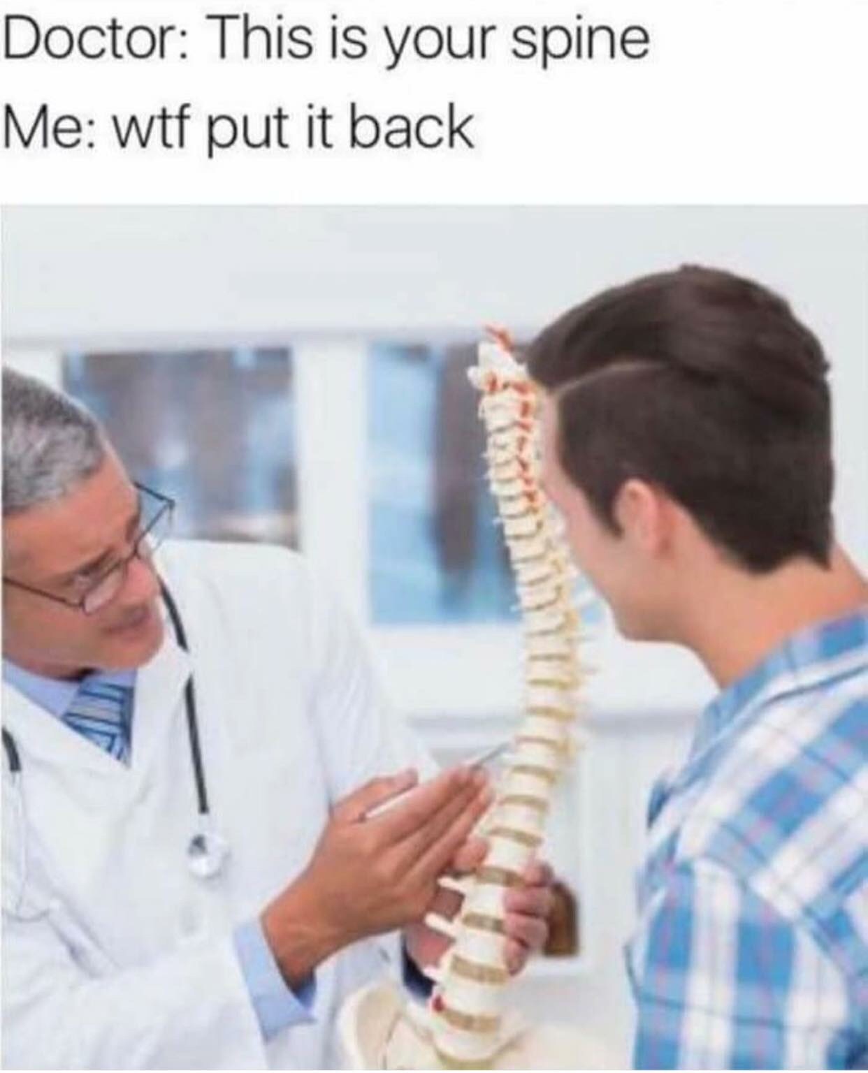 doctor spine meme - Doctor This is your spine Me wtf put it back