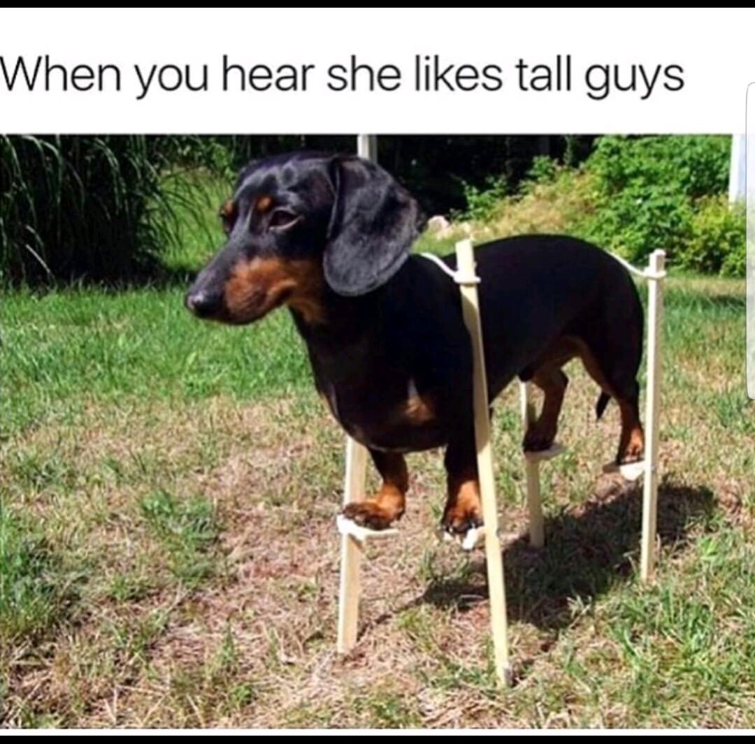 tall guys meme - When you hear she tall guys