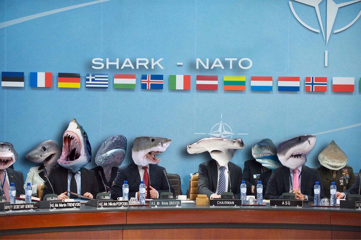 shark nato - Shark Nato Deschu Ghs Hem. Nikola Poposku He M. Martin Trb Evs Chairman H.E. Mr. Nikola Gruevski Asg Deputy Secretary General