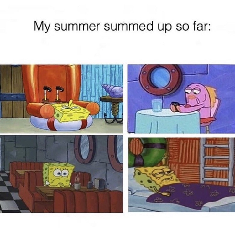 SpongeBob SquarePants - My summer summed up so far