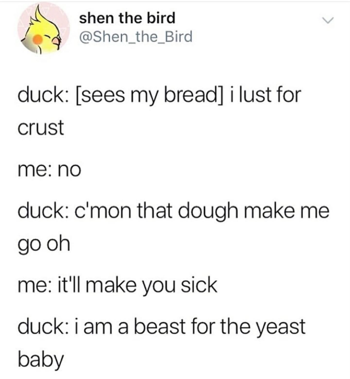 iphone quotes - Shen the birds shen the bird duck sees my bread i lust for crust me no duck c'mon that dough make me go oh me it'll make you sick duck i am a beast for the yeast baby