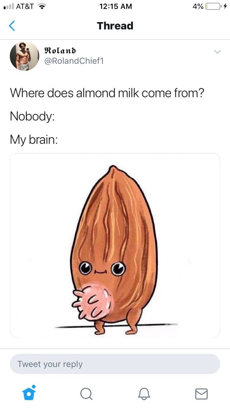 almond milk meme - | At&T 4% O4 Thread Roland Chief1 Where does almond milk come from? Nobody My brain Tweet your