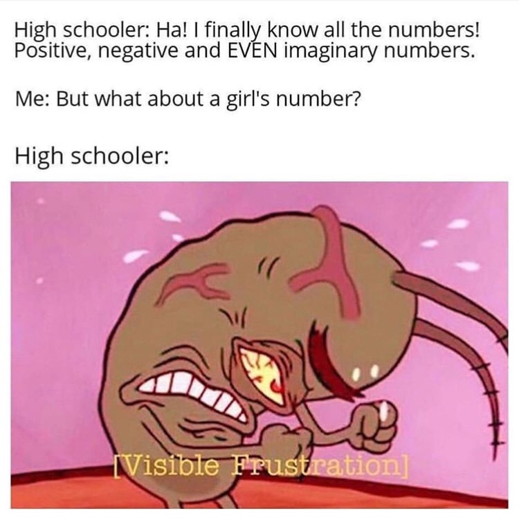 plankton meme - High schooler Ha! I finally know all the numbers! Positive, negative and Even imaginary numbers. Me But what about a girl's number? High schooler Visible Frustration